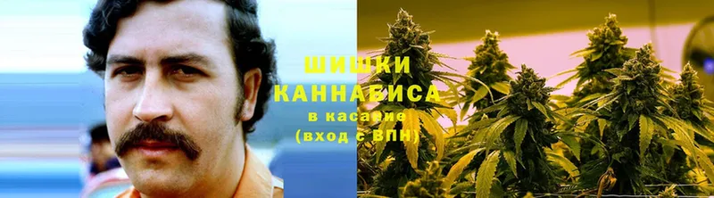 продажа наркотиков  Мамоново  Конопля OG Kush 